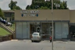 vet in san antonio