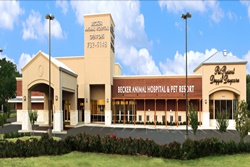 vet in san antonio