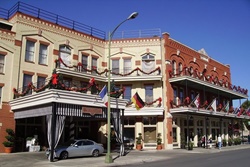 pet friendly hotel in san antonio