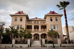 pet friendly hotel in san antonio