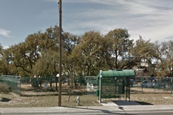 pet daycare in san antonio