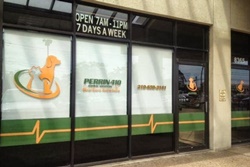 vet in san antonio