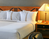 pet friendly hotels in san antonio texas dog friendly hotels in san antonio