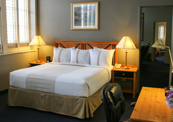 pet friendly hotels in san antonio texas dog friendly hotels in san antonio